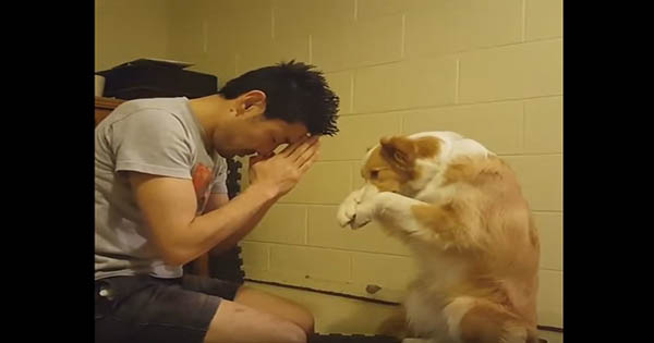 น่ารัก!! น้องหมา มารยาทงาม ไหว้มาไหว้กลับ แห่แชร์คลิปน่ารัก