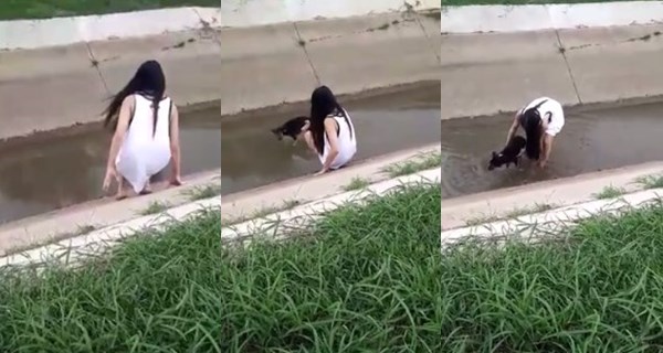 สาวสวยน่ารักใจงาม ลงคลองช่วยหมาขาเสียที่พลัดตกลงไปเอง เพราะไม่มีใครช่วย เชื่อ ปล่อยไว้จมน้ำตายแน่