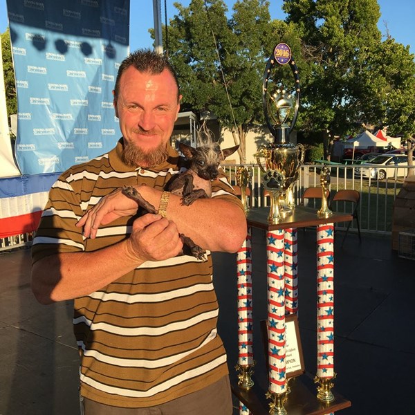 เจ้าสวีปี้ แรมโบ้ สุนัขน่าเกลียดที่สุดในโลก 2019 ตัวล่าสุด หน้าตาสมกับได้แชมป์มากๆ