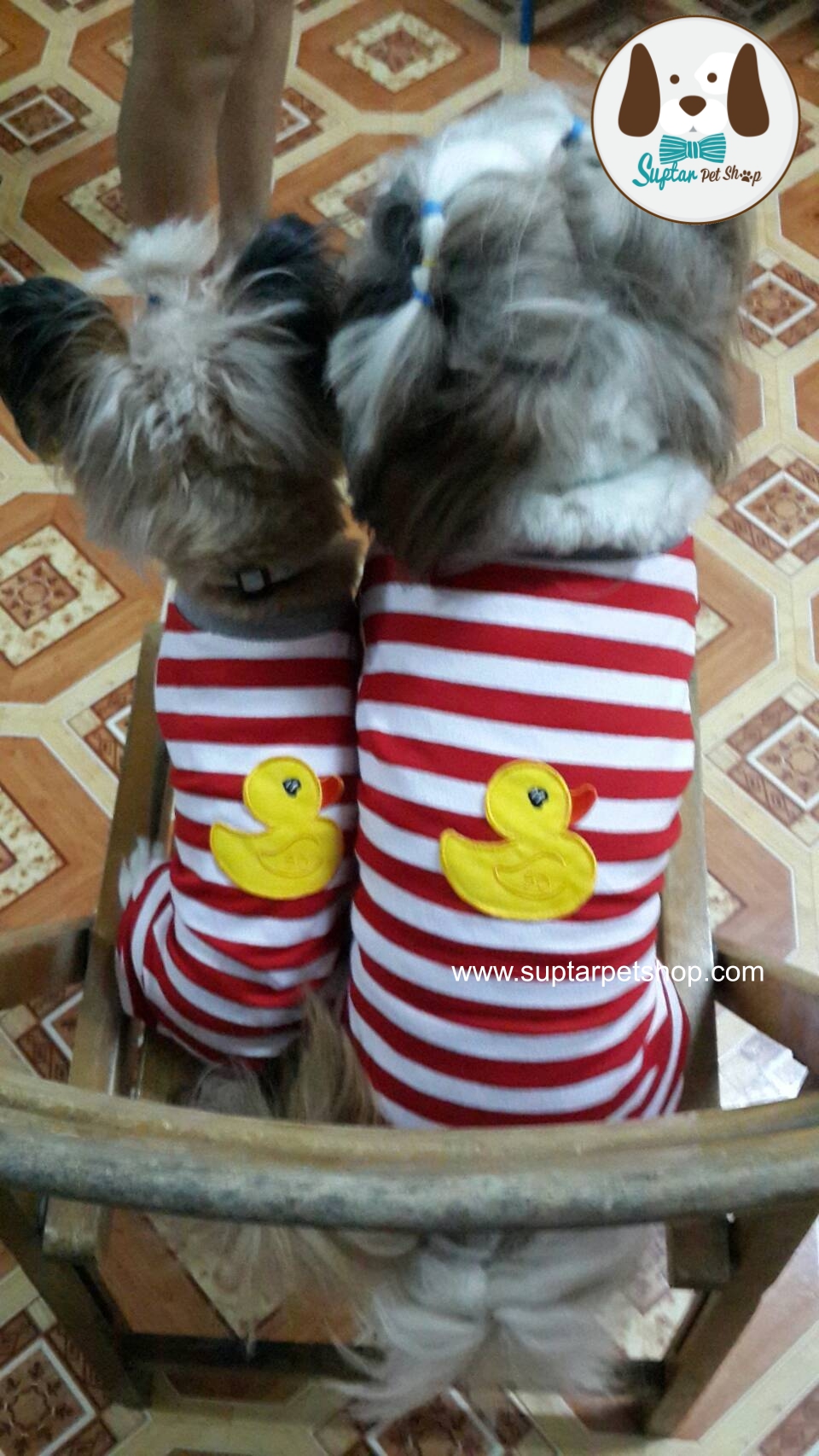 suptarpetshop.com20160722-085512เสื้อสี่ขาน้องหมา.jpg