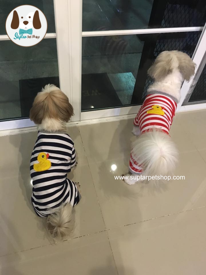 suptarpetshop.com20160720-140132เสื้อสี่ขาน้องหมา.jpg