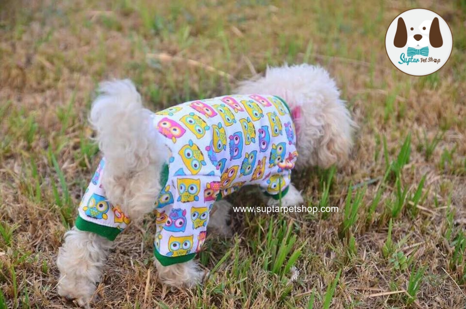 suptarpetshop.com20160702-124349เสื้อสี่ขาน้องหมา.jpg