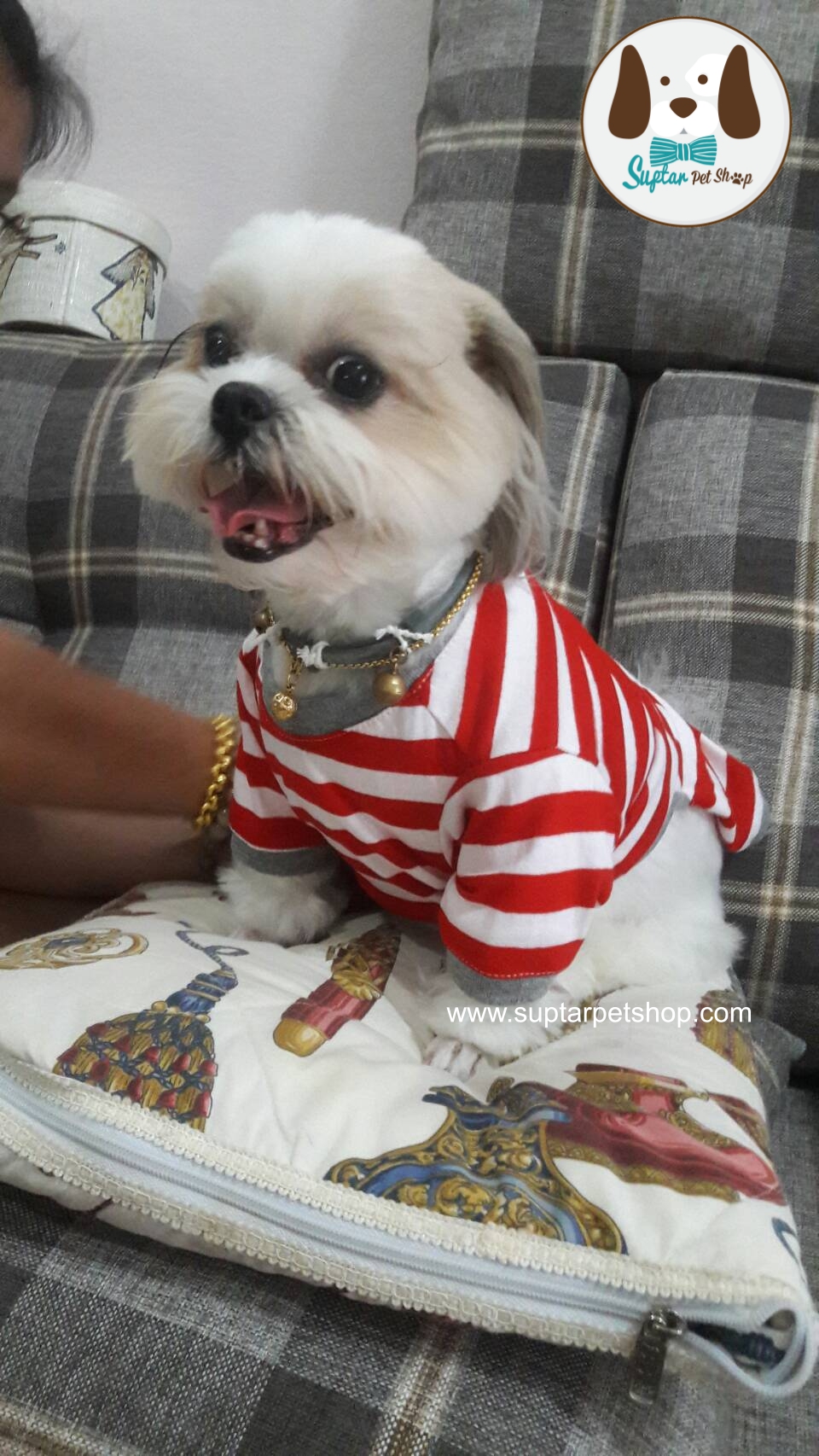 suptarpetshop.com20160718-135824เสื้อสี่ขาน้องหมา.jpg
