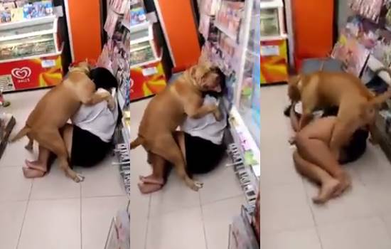 หมาหื่นบุกเซเว่น ไม่เกรงกฎหมายเลยนะพี่ พอมี พ.ร.บ.คุ้มครองแล้วเอาใหญ่