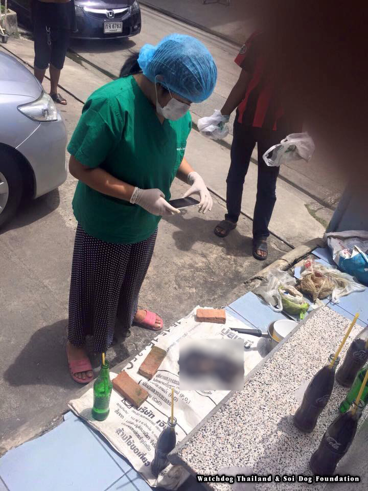 ใจโหด! หนุ่มวินมอเตอร์ไซค์รับแล้วฆ่าแมว 9 ตัว หลังขอรับลูกแมวที่อาสาประชาชนโพสต์หาบ้าน จากเพจต่าง ๆ