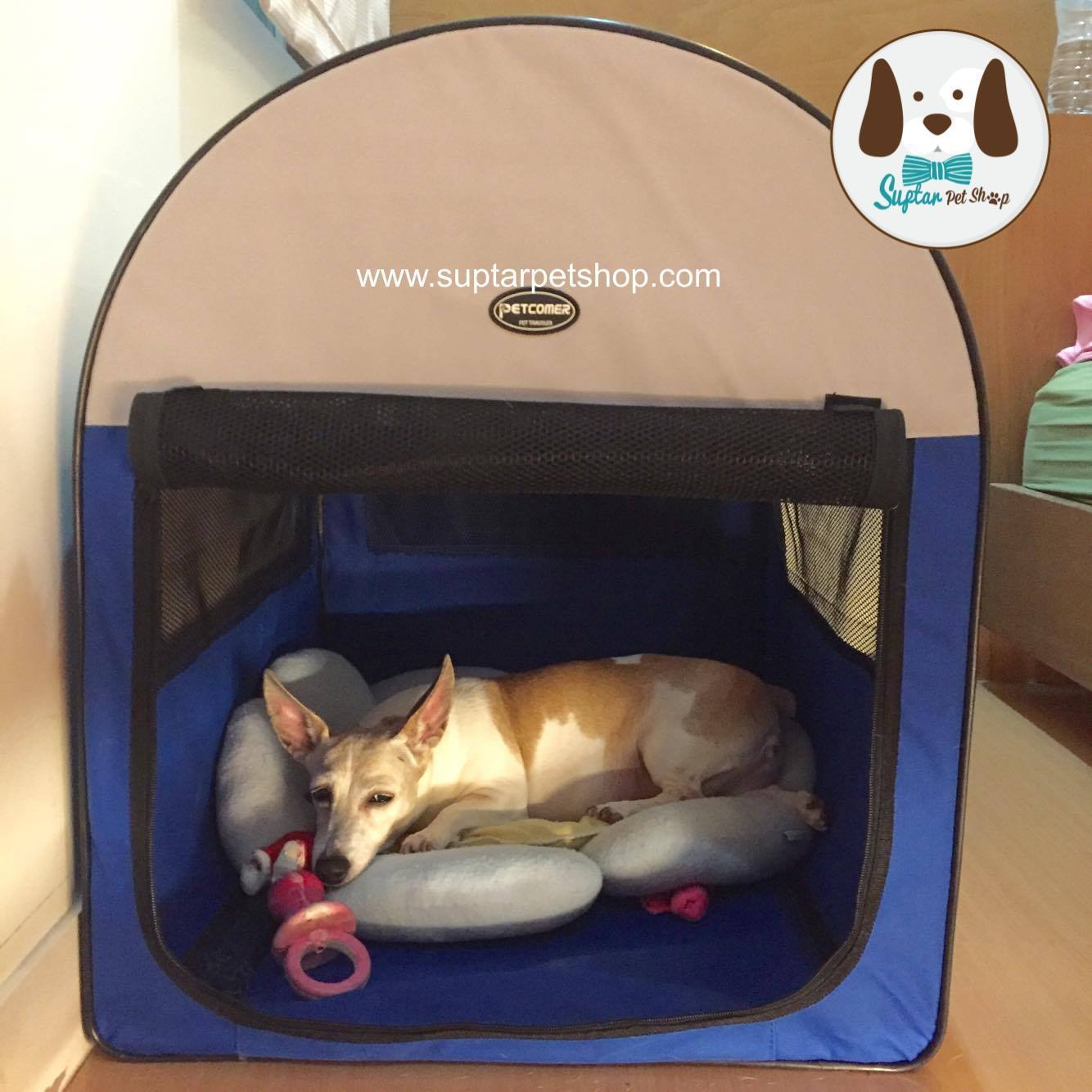 บ้านสุนัขแมวพกพา บ้านสุนัขพับได้ ทรงสี่เหลียม พกพาน้องหมาไปเที่ยวได้ทั่วไทย ราคาถูก