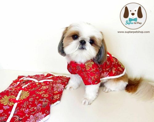 ชุดจีนกี่เพ้าน้องหมา น้องแมว ชุดตรุษจีน กระโปรง เสื้อ อาหมวยน้อย อาตี๋น้อย บ๊อก บ๊อก