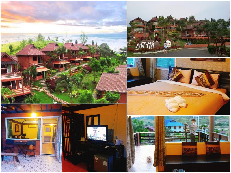 เขาค้อ "ภูฟ้าใส รีสอร์ท (Phufahsai Resort)" สุนัขพักได้ เพชรบูรณ์