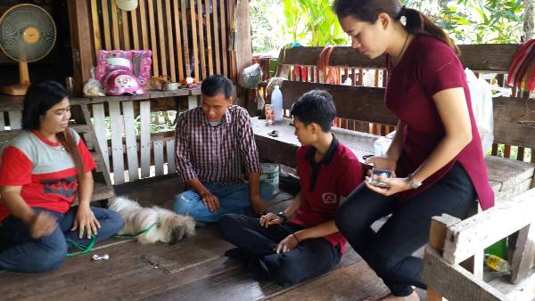 อย่างซึ้งเลย! “ชิห์สุ” ตกรถเจอเจ้าของแล้ว-โผหาทันทีที่เห็นหน้า เจ้าของตามหาสามวันสามคืนร้องไห้ด้วยความคิดถึง จนไม่ได้ทำงาน