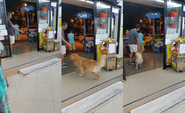 โดนด่าเละ  มนุษย์ป้าพาหมาเข้าเซเว่นฯ  ปล่อยให้หมาให้ใช้จมูกดมไข่-ไส้กรอก โดยไม่สนคำเตือนของลูกค้าคนอื่น