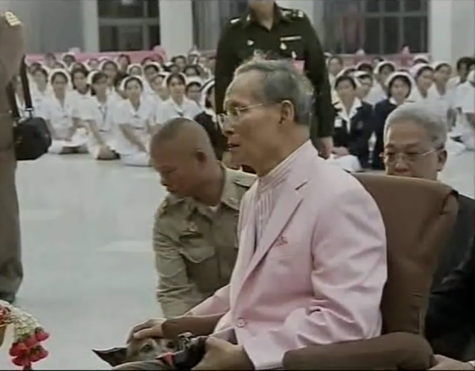 ภาพคุณทองแดง มองในหลวง พระบาทสมเด็จพระปรมินทรมหาภูมิพลอดุลยเดช ประวัติคุณทองแดง สุนัขทรงเลี้ยง ประจำรัชกาล