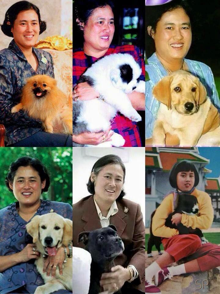 สุนัขทรงเลี้ยงของสมเด็จพระเทพรัตนราชสุดาฯ สยามบรมราชกุมารี มีชื่อน่ารักๆ ธีมนก ปลา และยาดม ในวังสระปทุม พร้อมภาพที่ไม่เคยเห็นมาก่อน