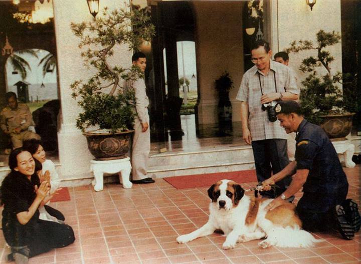 "หลวงแจ่ม" สุนัขพันธุ์เซนต์เบอร์นาร์ด ที่ชอบแอบเข้าในเขตพระราชวัง จนกลายมาเป็นสุนัขทรงเลี้ยง อ่านประวัติ พร้อมภาพลูกคุณหลวงแจ่ม "คุณแป๊ะฮวยอิ้ว"และชมภาพน่าร้กๆ กัน