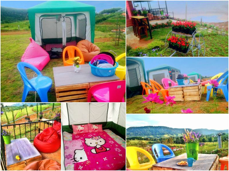 เขาค้อโมเดิร์นวิว&รีสอร์ท เพชรบูรณ์ ที่พักสไตส์กางเต๊น นอนชมธรรมชาติ สุนัขพักได้