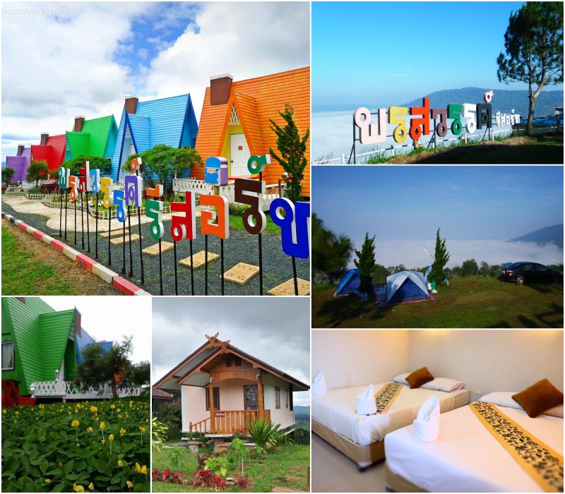 พรสวรรค์รีสอร์ท เขาค้อ สุนัขพักได้ ฟรีไม่เสียค่าเข้าพัก เพชรบูรณ์ มีลานกางเต๊นท์