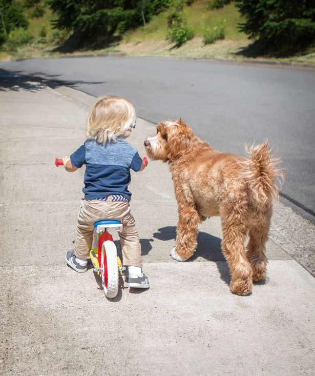 PAY-Little-buddy-and-friend (6).jpg