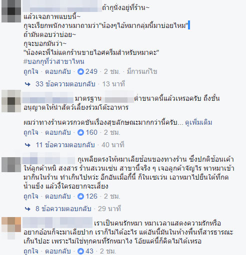 แฉยับ เจ้าของสุนัขชิวาวา เคยพาน้องหมาเข้าร้านไอศครีมดัง แถมให้เลียช้อนร้านอีก ถ่ายเป็นคลิป โดนด่าหนักมาก