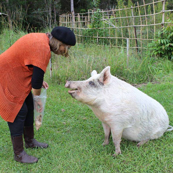 2 วัยรุ่นโรคจิต ก่อเหตุสุดอุบาทว์ รุมข่มขืนหมู แถมหักคอไก่ตายเกือบหมดเล้า !