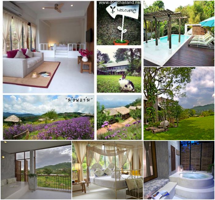 พราวภูฟ้า รีสอร์ท แม่ริม สุนัขพักได้ เชียงใหม่ ใกล้ปางช้าง และสวนพฤกษศาสตร์สมเด็จพระนางเจ้าสิริกิติ์
