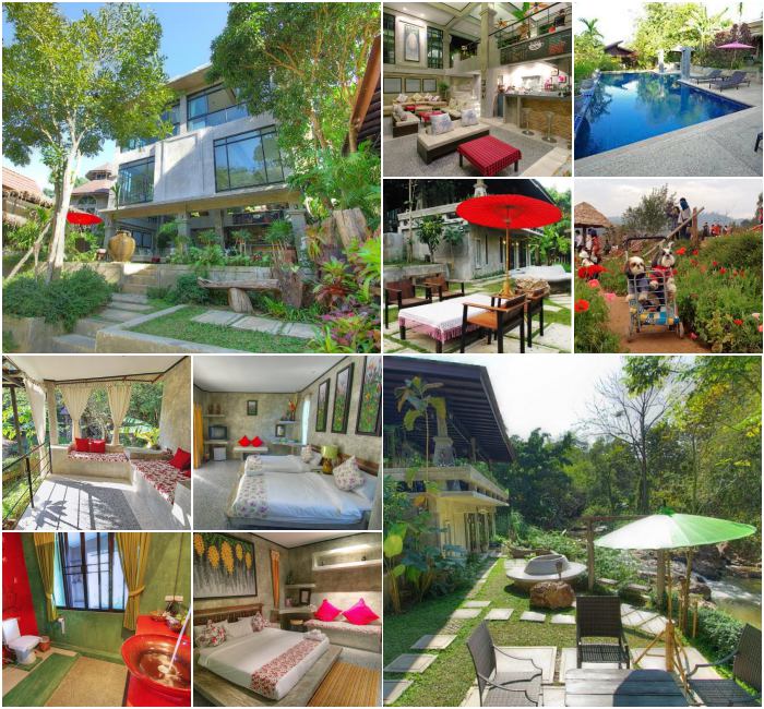 แอท นาธา เชียงใหม่ ชิค จังเกิล สุนัขพักได้ ใกล้ที่ท่องเที่ยวม่อนแจ่ม