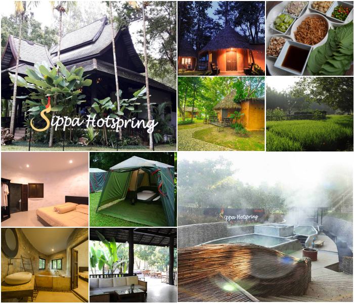 สิปปะฮอทสปริงหมาพักได้.jpg