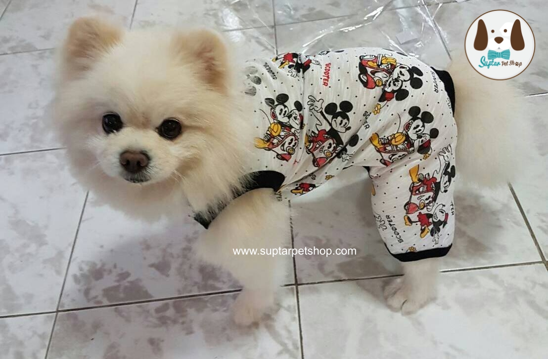 ลูกหมาตัวน้อย กับชุดนอนน่ารักๆ พร้อมจะนอนกันมานานแล้ววว เหมือนเด็กเลยอ่า