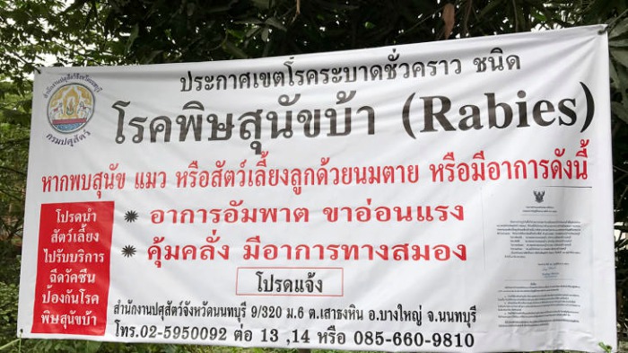 ประกาศเขตโรคระบาดชั่วคราว พิษสุนัขบ้า ที่ 'บางกระสอ' นนทบุรี ระวังกันด้วย