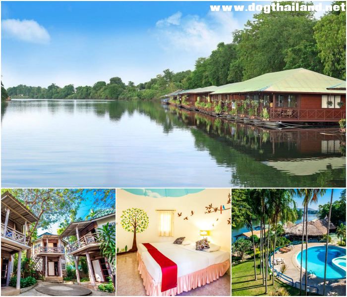 20 ที่พักสัตว์เลี้ยงพักได้ เมืองกาญ 2026 นอนแพ ริมน้ำ ชิลสุด ๆ