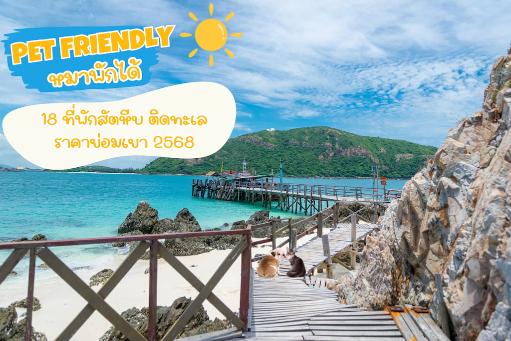18 ที่พักสัตหีบต้อนรับสัตว์เลี้ยง ติดทะเลก็มี ราคาสบายกระเป๋า (อัปเดต 2025)