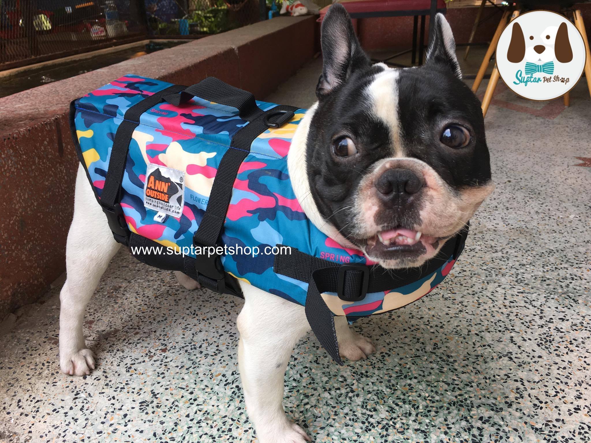 ชูชีพสุนัข ซื้อที่ไหน ราคาถูก มีมาแนะนำ 450 บาทเท่านั้น หลายแบบ มีฟองน้ำหนา เสื้อชูชีพแบบมีรองคอกันน้ำ