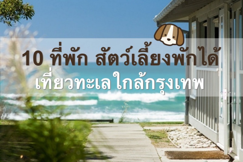 โรงแรมสุนัข ที่พักสัตว์เลี้ยง หมาเข้าพักได้ ปราณ หัวหิน กุยบุรี พัทยา เกาะสีชัง