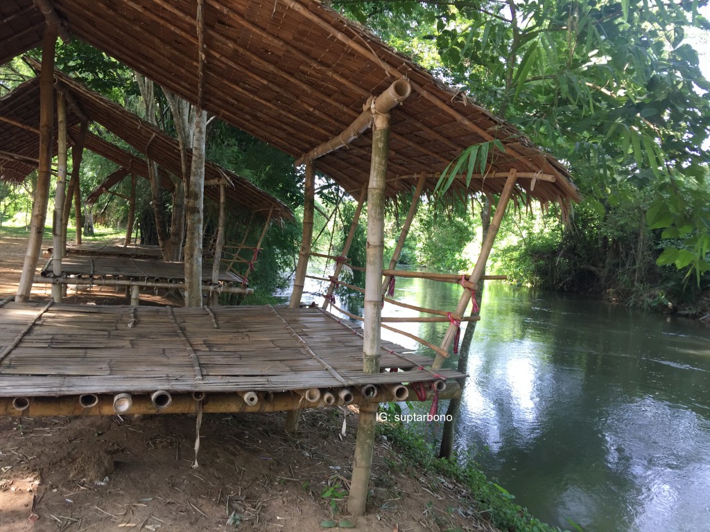 พาหมาเที่ยว -IMG_6150-โบ้โน.jpg