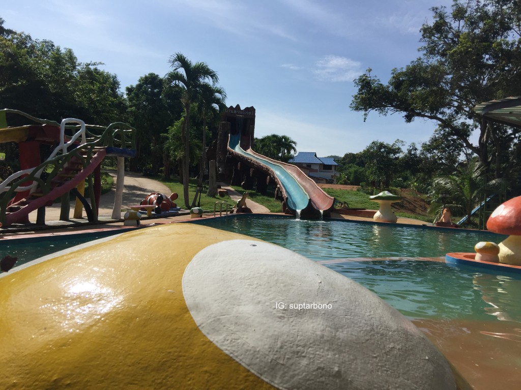 พาหมาเที่ยว -IMG_6167-โบ้โน.jpg