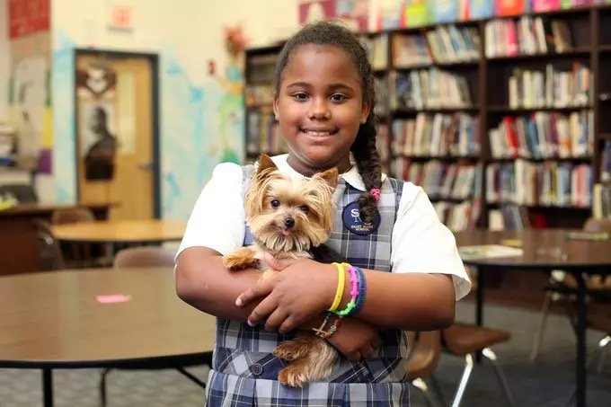 'ลูซี' เป็นสุนัขบำบัดตัวเล็กที่สุดในโลก บันทึกสถิติโดยกินเนสบุ๊ก น่ารักมากๆ