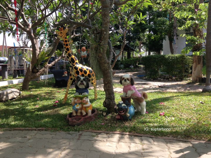 โบ้โนพาเที่ยว -IMG_7640-หมาเที่ยวทะเล.jpg.jpg