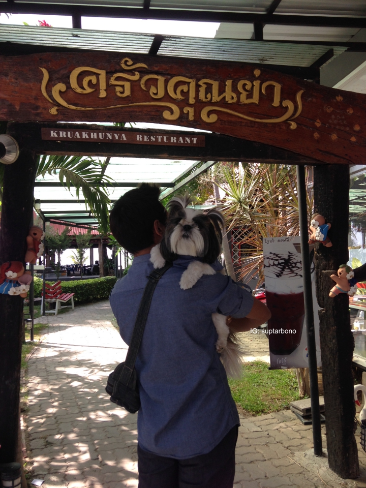 โบ้โนพาเที่ยว -IMG_7646-หมาเที่ยวทะเล.jpg.jpg