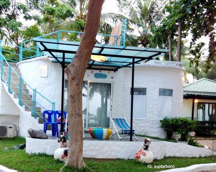 โบ้โนพาเที่ยว -IMG_7233-หมาเที่ยวทะเล.jpg.jpg