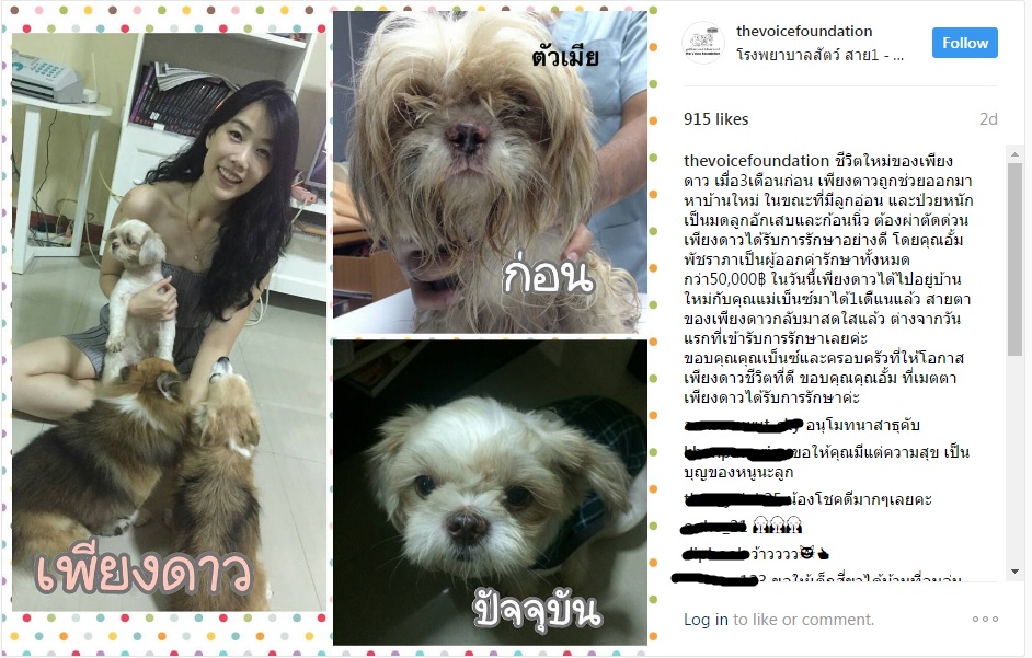 ชีวิตใหม่ของแม่หมาเพียงดาว มีลูกอ่อน และป่วยหนัก อั้ม พัชราภา เป็นผู้ออกค่ารักษาทั้งหมดกว่า 50,000฿