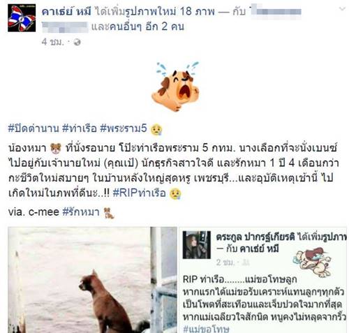 ปิดตำนาน "ท่าเรือ" น้องหมานั่งรอเจ้าของบนโป๊ะพระราม 5 ล่าสุดตายแล้ว เจ้านายใหม่โพสต์เศร้า