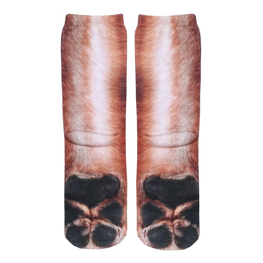 socks-animal-paws-3-593e8804e59d7__880.jpg