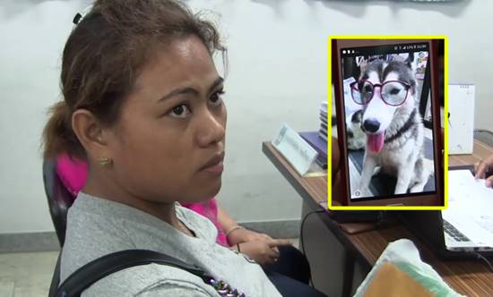 เจ้าของไซบีเรียนแจ้งความแล้ว ปมหมาโดนรถเหยียบตาย หากคู่กรณีผิดก็อาจเข้าข่ายทารุณสัตว์-ทำให้เสียทรัพย์