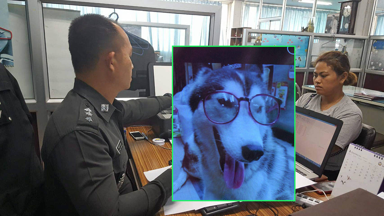 ผู้การฯ สระบุรีลงคุมคดีชายชนหมาตายเอง จ่อออกหมายเรียกมาพบตำรวจแล้ว