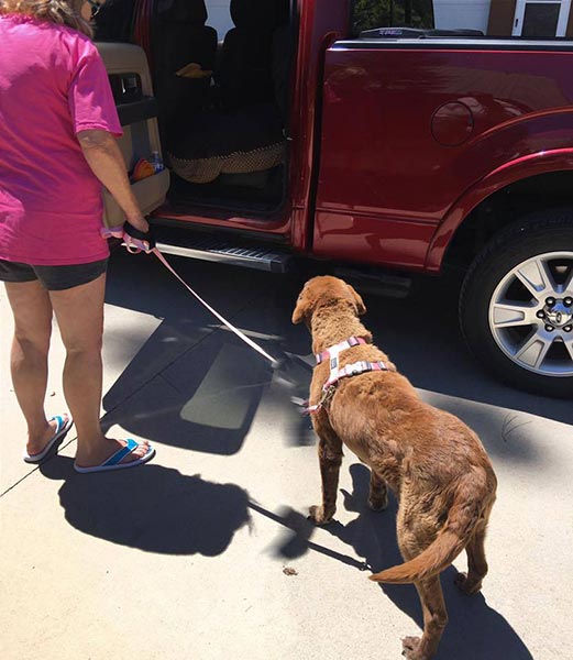 หมาหาย คุณยายโมสุนัขวัยชรา หายตัว-ผจญภัยในป่านานถึง 9 เดือน กลับมาเจอเจ้าของอย่างปาฏิหาริย์ ดีใจกันอย่างสุดซึ้ง