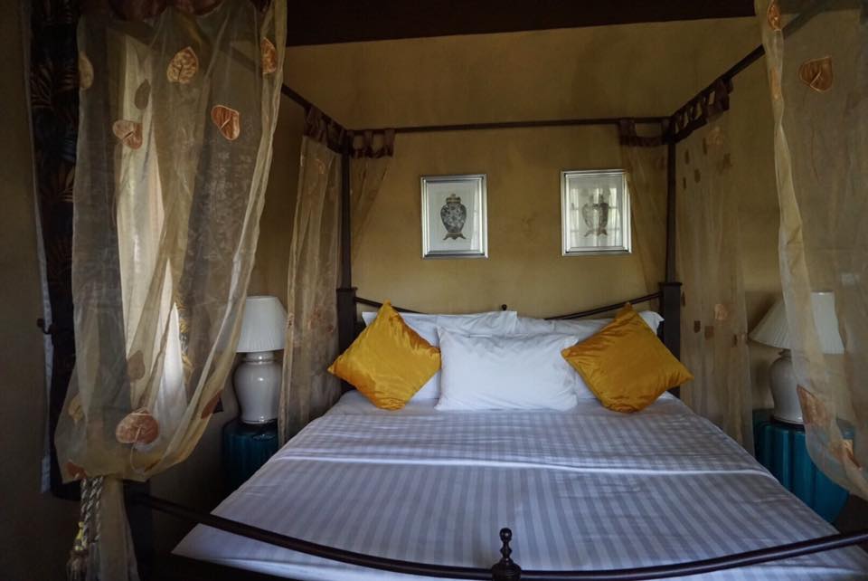 รีวิวที่พักสัตว์เลี้ยงพักได้ ทรีธารา รีสอร์ต (Tree Tara Resort) วิวแม่น้ำแควน้อย กาญจนบุรี  สุนัขเข้าพักได้