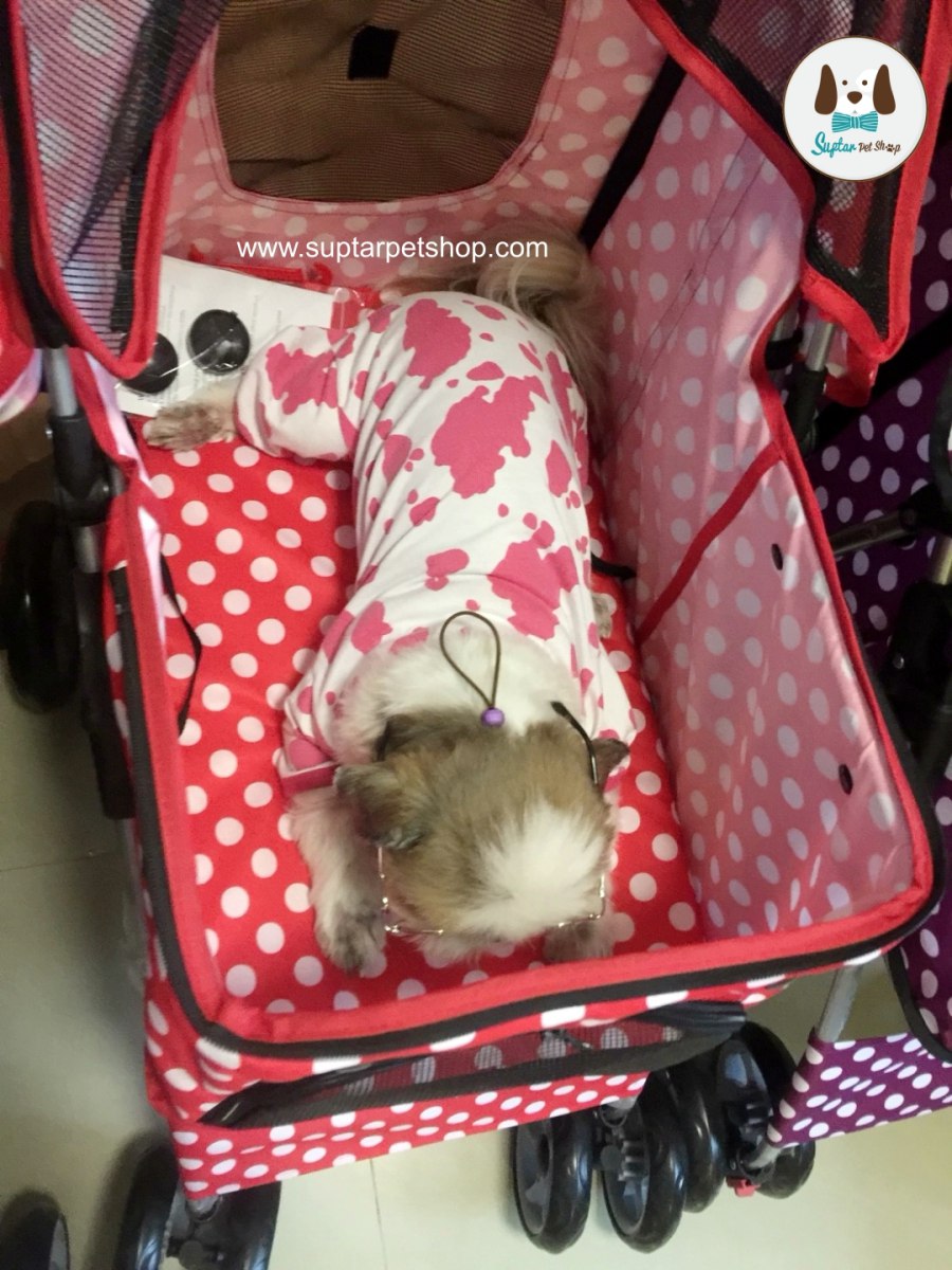 รถเข็นหมาแมวรถเข็นหมาแมว1690_180101_0023-ราคาถูก-ราคาถูก.jpg.jpg
