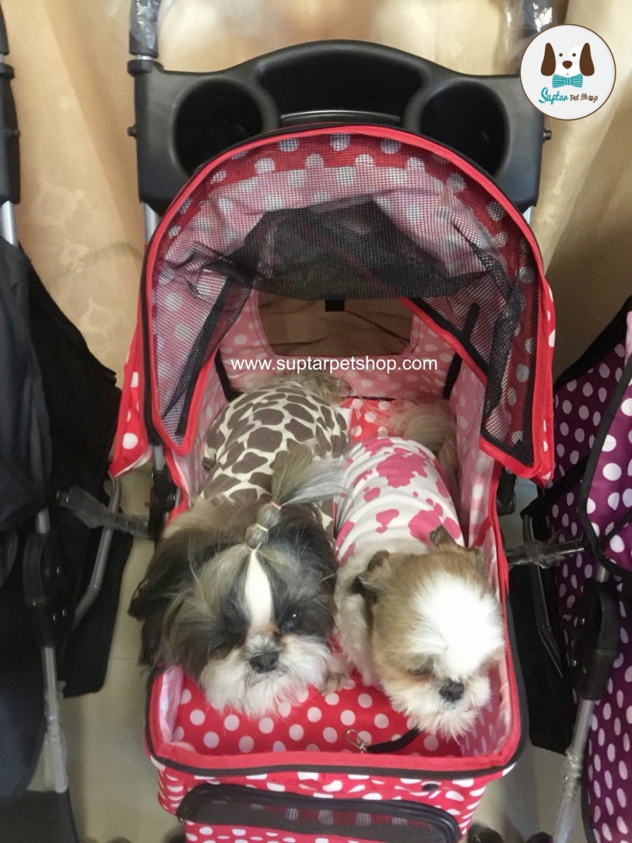 รถเข็นหมาแมวรถเข็นหมาแมว1690_180101_0031-ราคาถูก-ราคาถูก.jpg.jpg