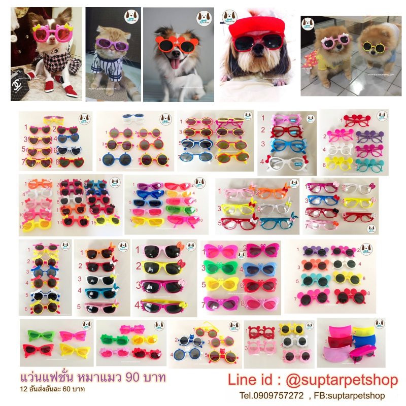 แว่นตาแฟชั่นหมา แว่นตาหมาแมว ราคาส่ง 60 บาทเท่านั้น มีสายรัด ปรับขนาดได้ ส่งทั่วประเทศ
