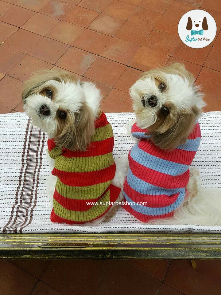 0แว่นตาสุนัข-22196034_1862608637096764_7471395802764851538_n 4.40.05 .jpg