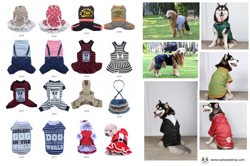 big-dog-clothes-16.jpg