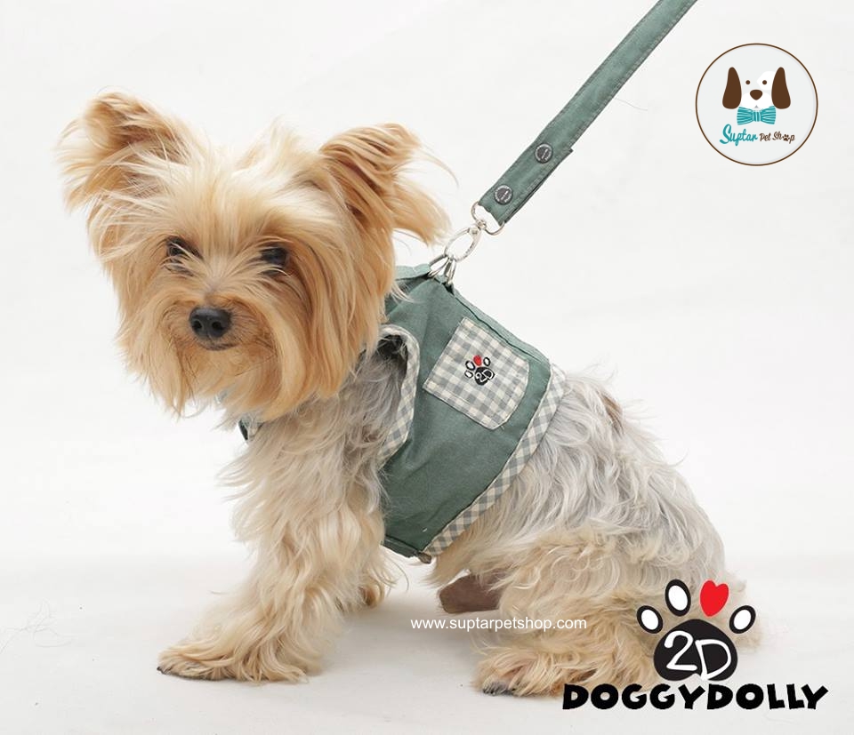 สายจูงสุนัข สายจูงสุนัขรัดอก น่ารักๆ สายจูงสุนัขแบบไหนดี สำหรับ สุนัข แมว มีให้เลือกเพียบ